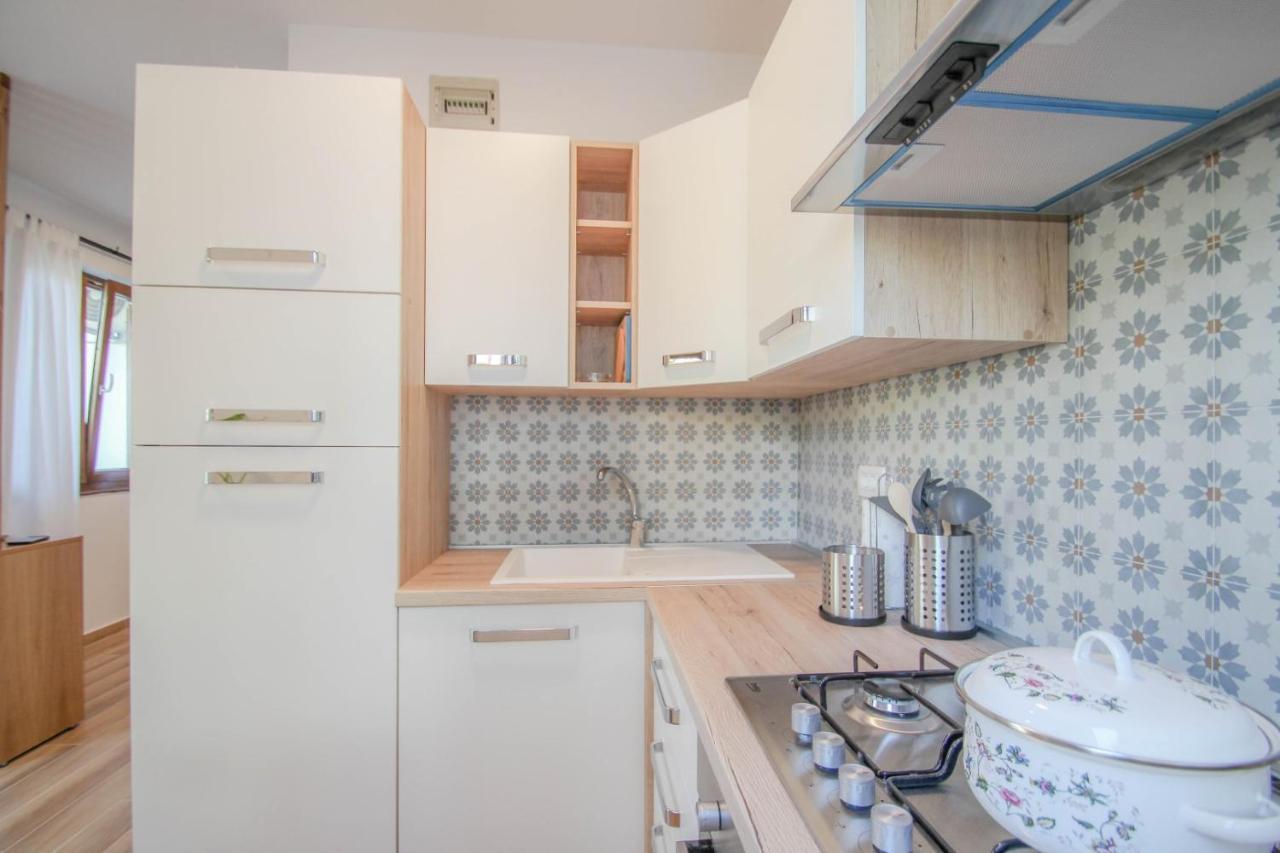 Lucia Apartment Novigrad  Exterior photo