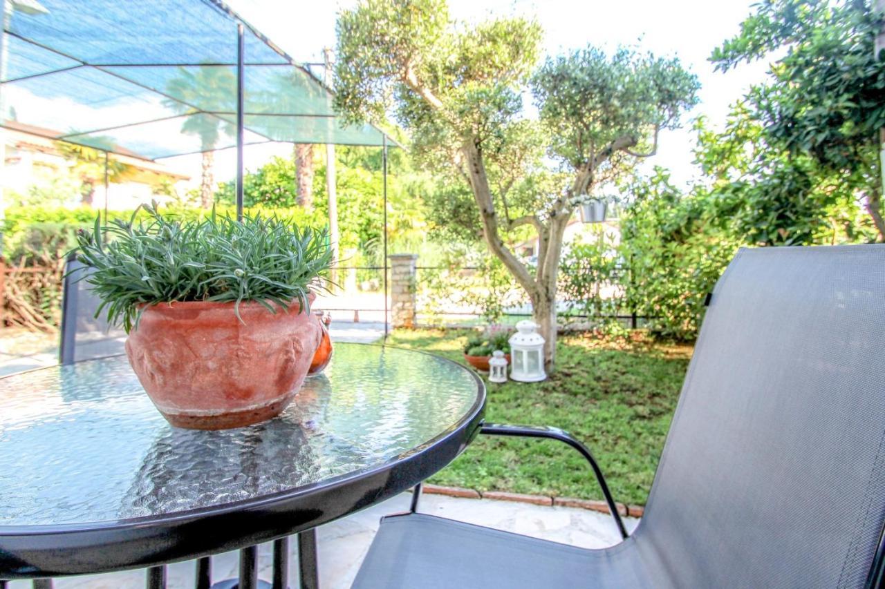 Lucia Apartment Novigrad  Exterior photo